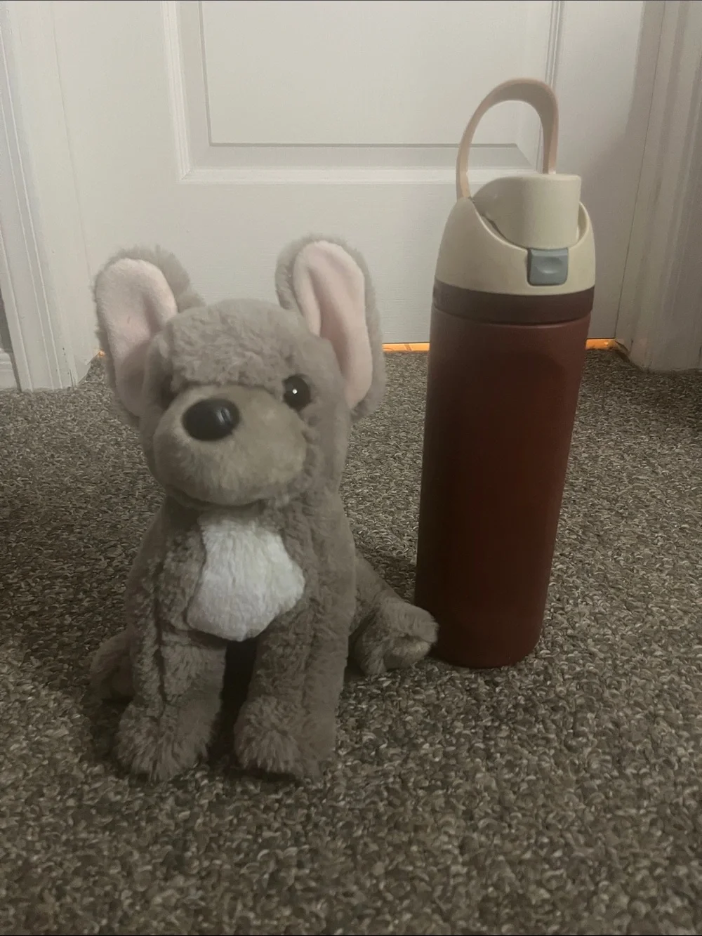 Douglas soft gray